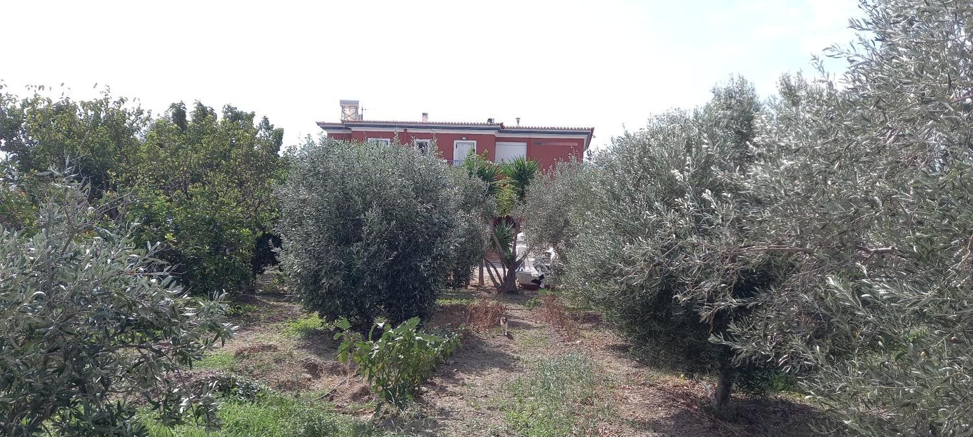 Ferienwohnung Ktima Develekou Pigadhia  Exterior foto