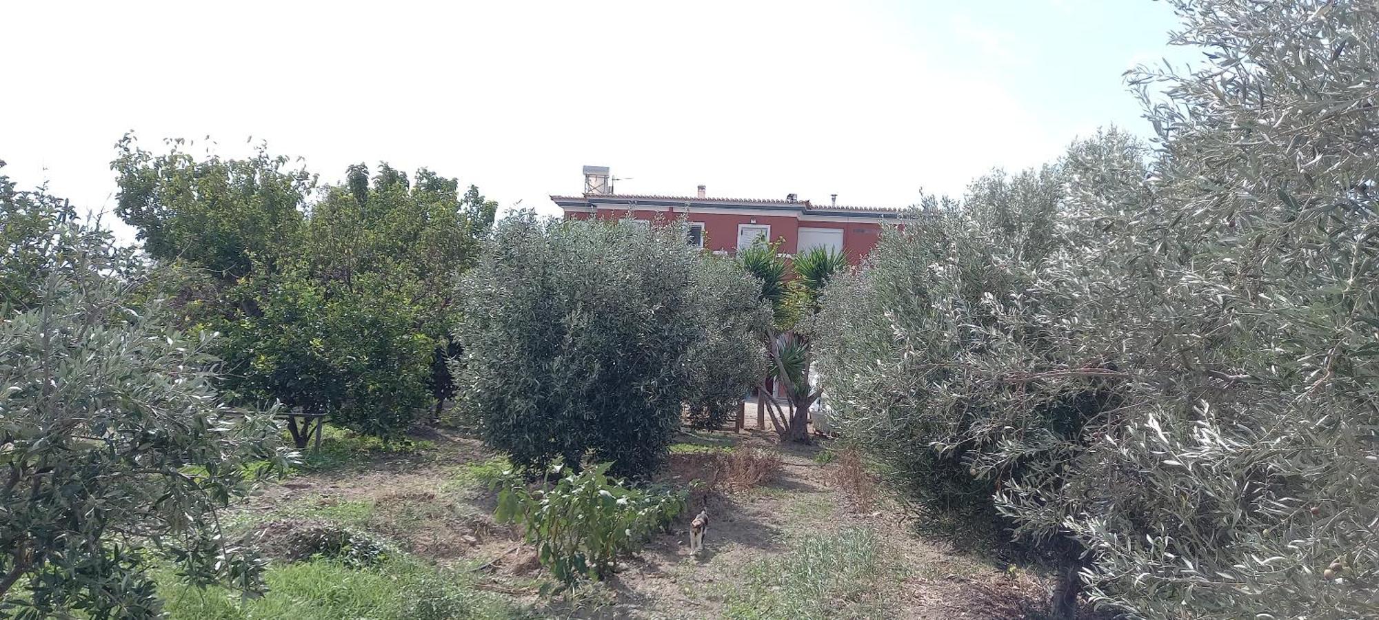 Ferienwohnung Ktima Develekou Pigadhia  Exterior foto